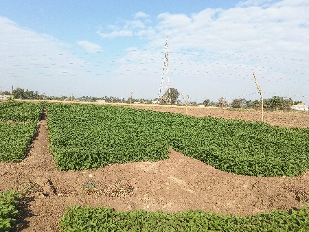 થંબનેલ 3