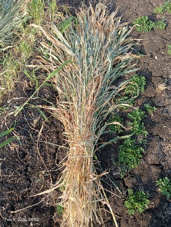 niran  vesvani se 
pura na  30