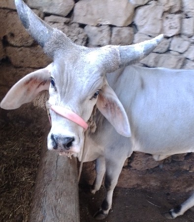 थंबनेल 3