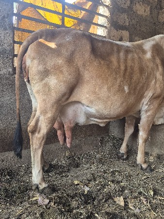 थंबनेल 3