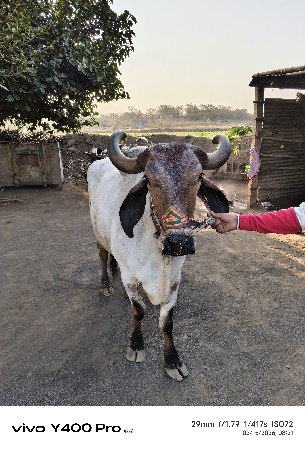 थंबनेल 3