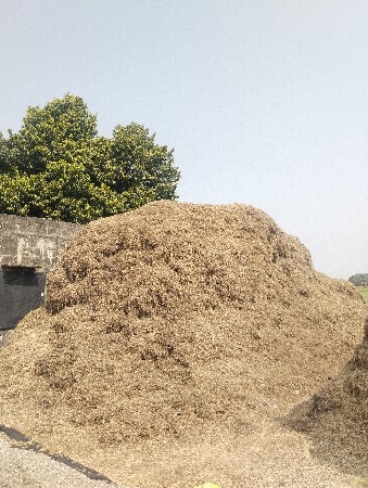 માંડવી નો ભુક્કો.