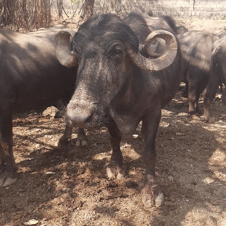 थंबनेल 2