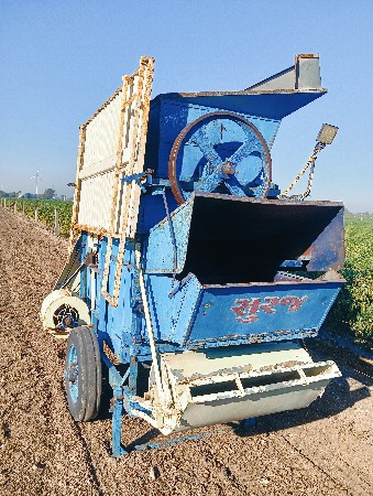 જયંત થેસર વેચવા નું છે