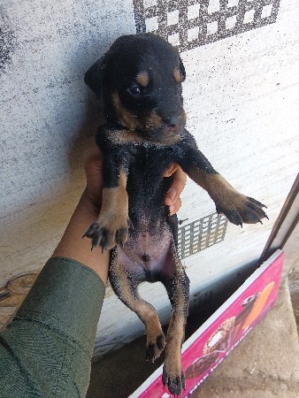 थंबनेल 2