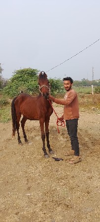 थंबनेल 3