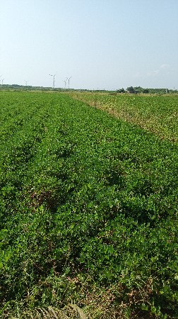 10,,થી,,15,, વીઘા જમીન