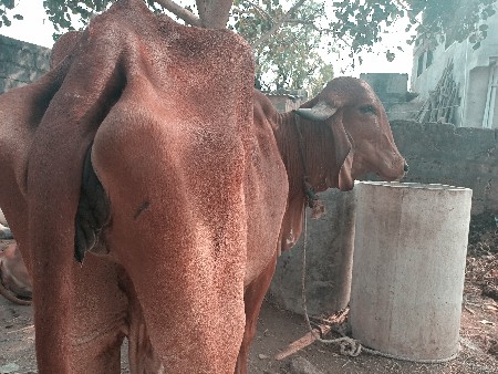 थंबनेल 2