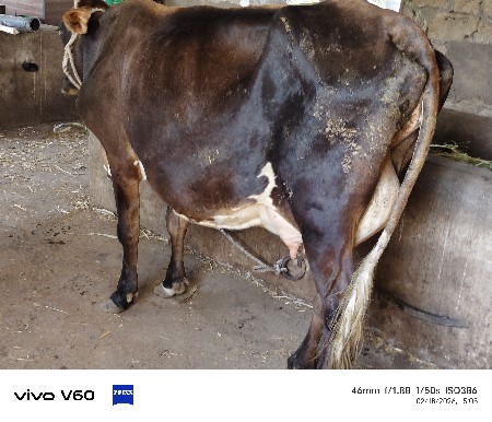 थंबनेल 3