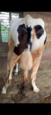 थंबनेल 2