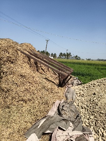 સુયા વેસવાના se