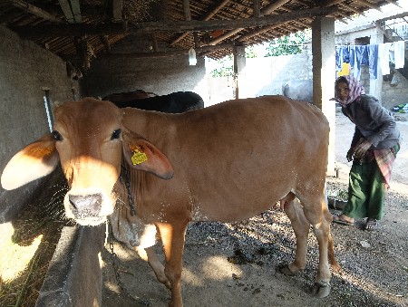 થંબનેલ 3