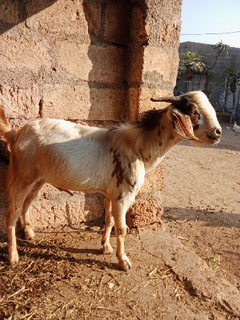 थंबनेल 2