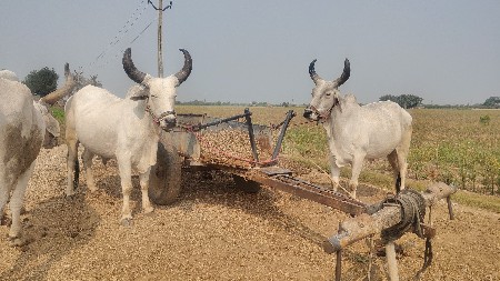 थंबनेल 4