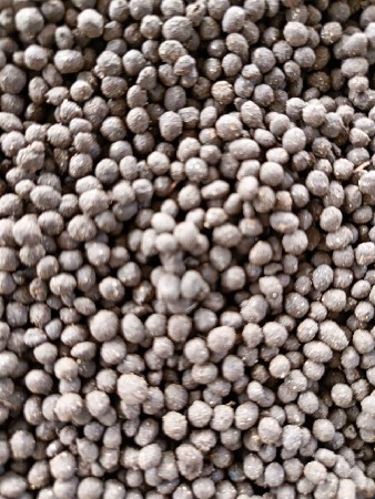 ખેડૂત ક્રાંતિ 100% ઓર્ગેનિક