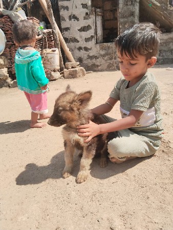 थंबनेल 3