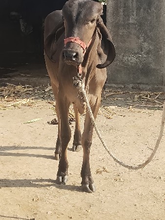 थंबनेल 2