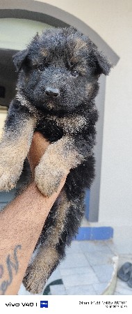 थंबनेल 3