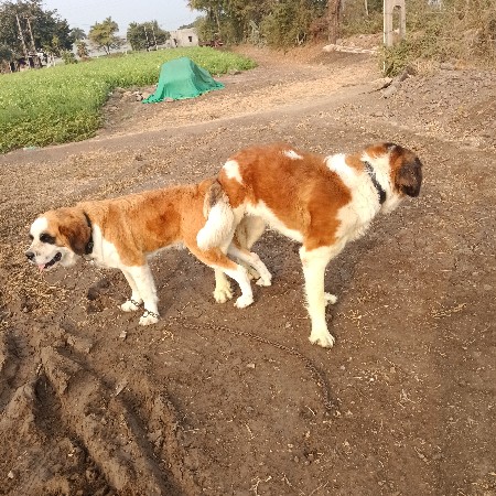 थंबनेल 3