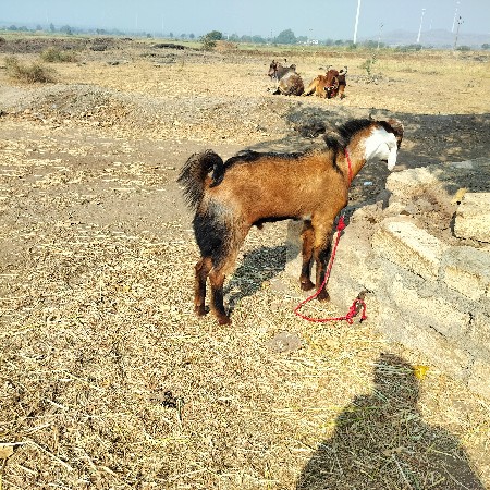 थंबनेल 2