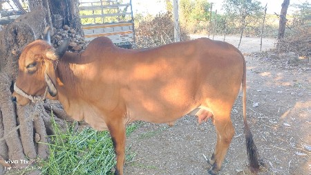 थंबनेल 3