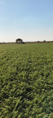 પોરબંદર રાણાવાવ કુતિયાણા