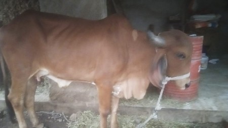 थंबनेल 2