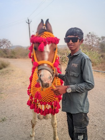 થંબનેલ 2