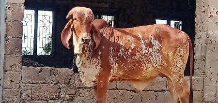 थंबनेल 2