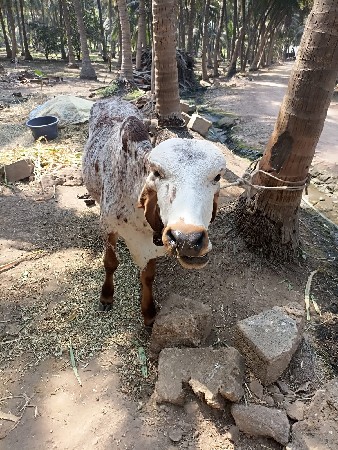 थंबनेल 2