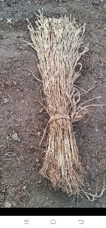 જુવાર નો સારો વેચવાનો છે