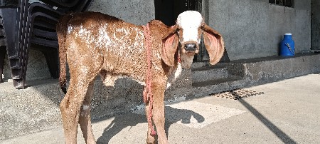 थंबनेल 2