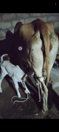 थंबनेल 6