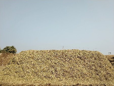 . મૉગોટૂ. વૅશવાનુ છે