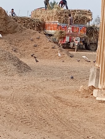 આગરા વેચવાના છે