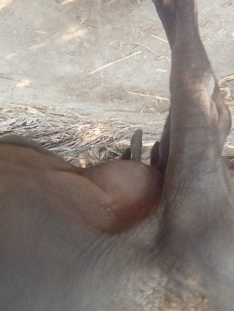 थंबनेल 2