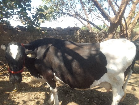 થંબનેલ 3