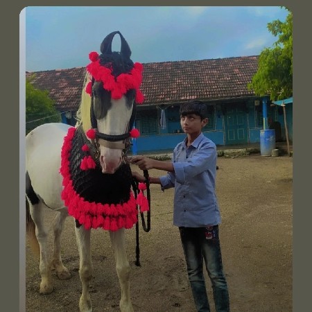 ઘોડી વેચવાની છે અને   સાટો કરવ