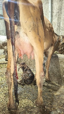 થંબનેલ 4