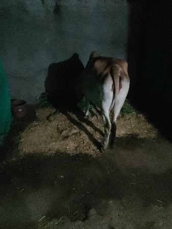 थंबनेल 2