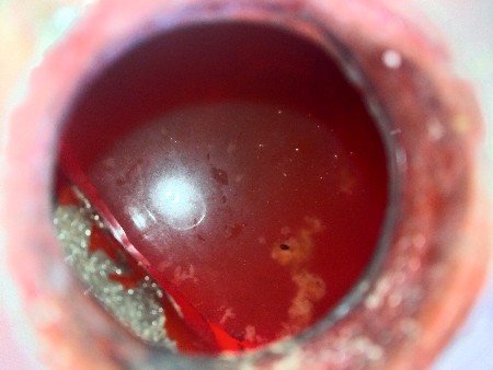 જીલેલું ગૌમુત્ર વેચવાનું છે