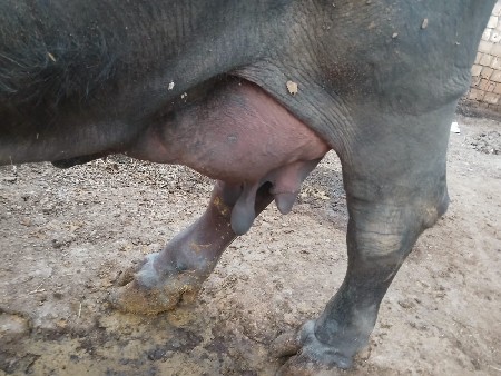 थंबनेल 2