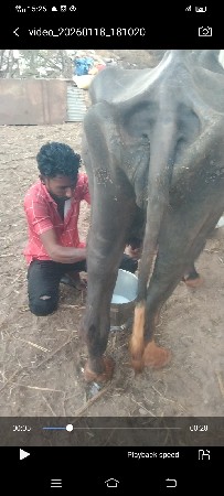 थंबनेल 3