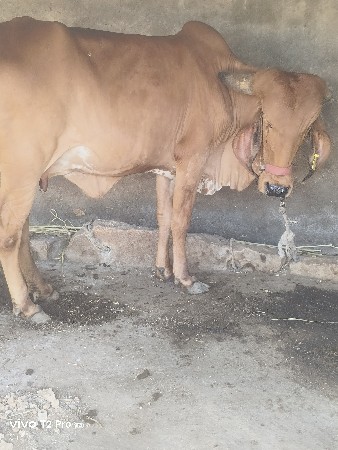 थंबनेल 2