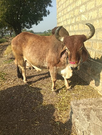 थंबनेल 2