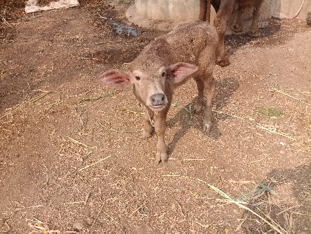 थंबनेल 3