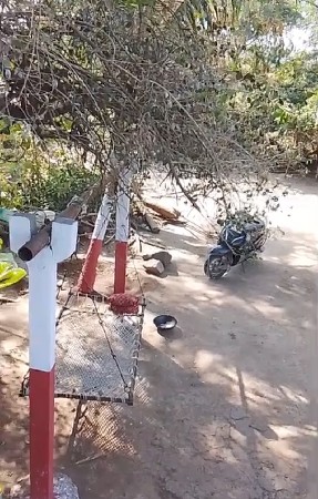 થંબનેલ 2