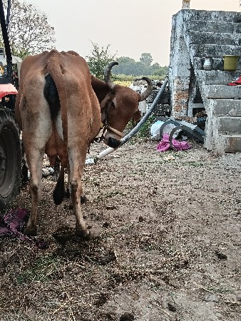 थंबनेल 2