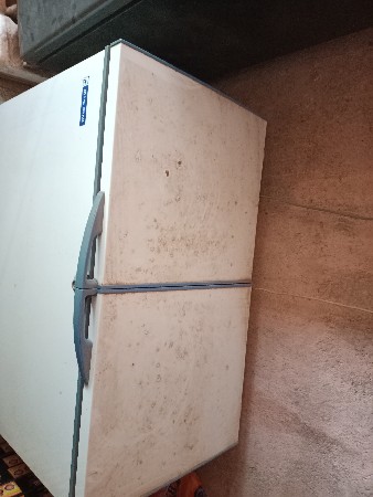 blue star refrigerator 300l