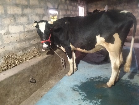 थंबनेल 2